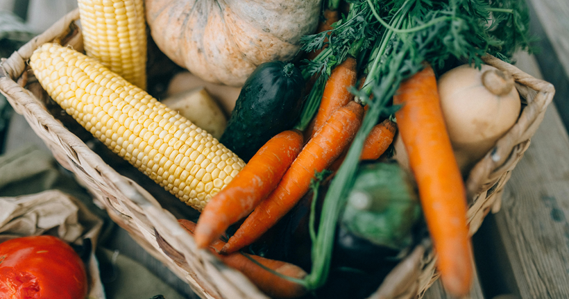 Ingesta dietética de flavonoides y la incidencia de Alzheimer y deterioro cognitivo en adultos: revisión sistemática