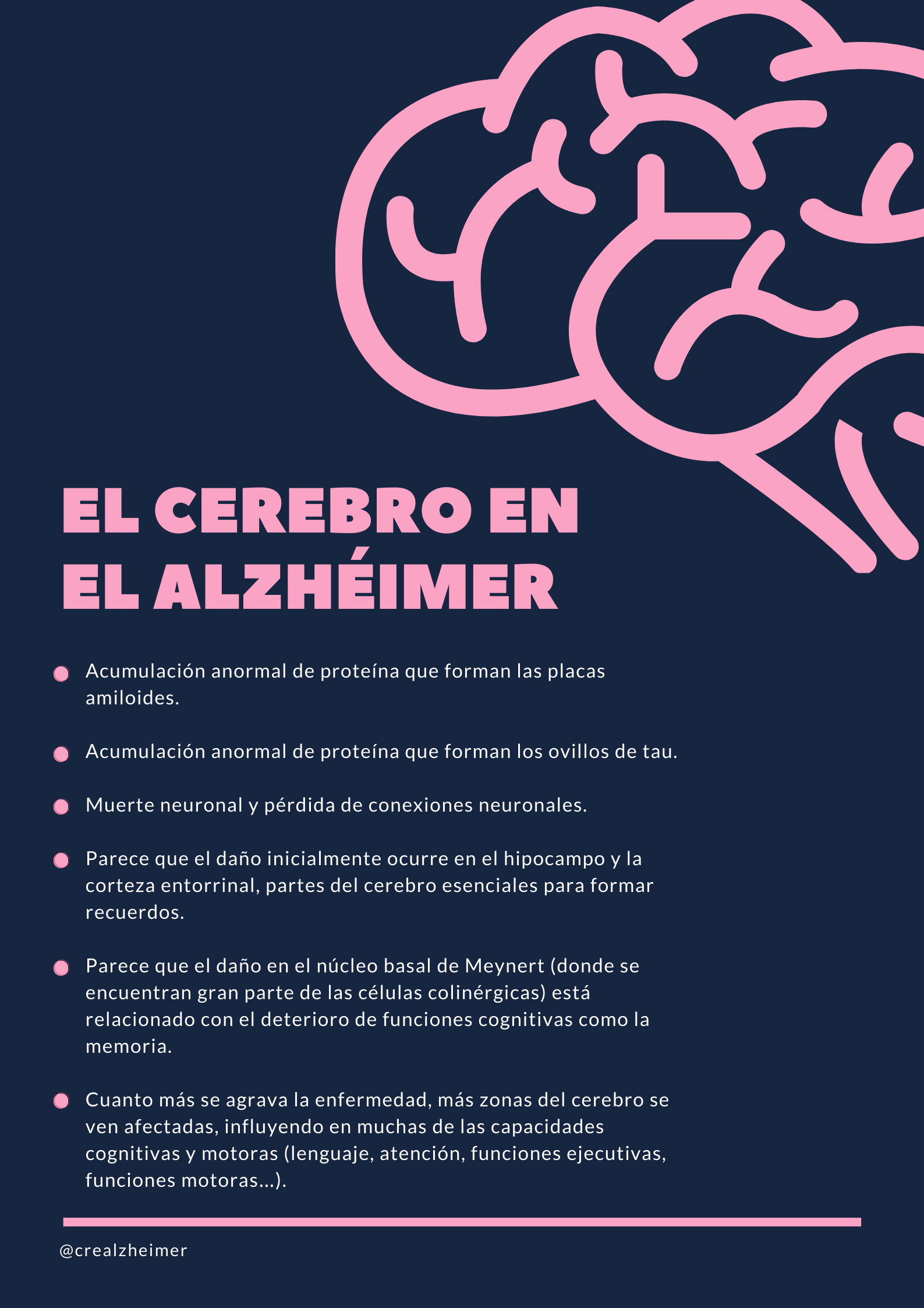 Infografía en el cerebro en el Alzhéimer