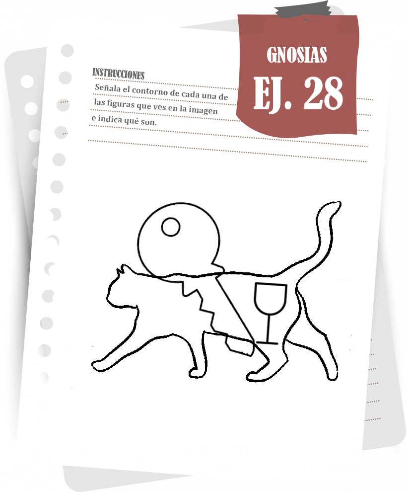 Imagen del ejercicio 28 de Gnosias