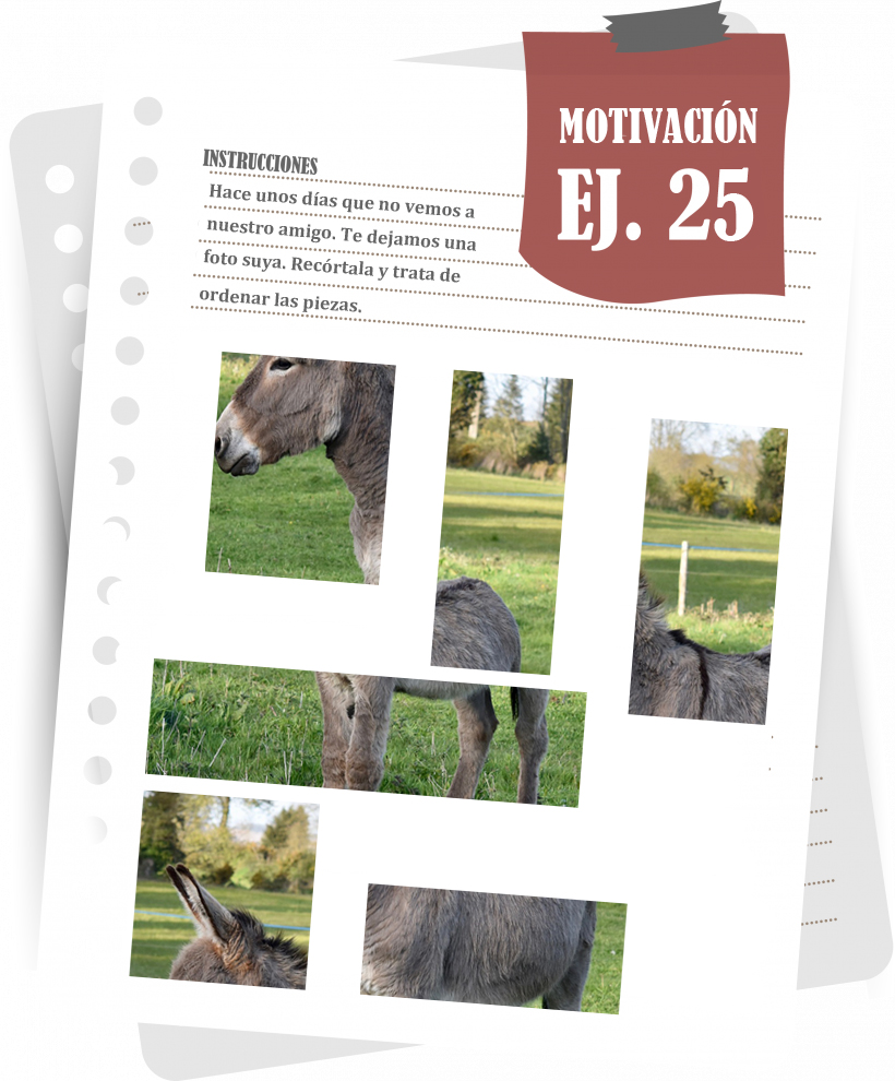 Imagen del ejercicio 25 de motivación